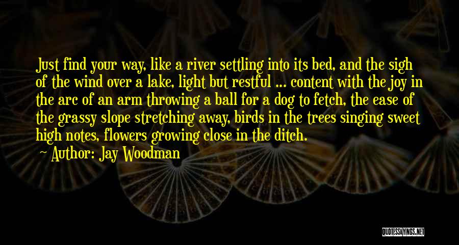 Light Of Your Soul Quotes By Jay Woodman