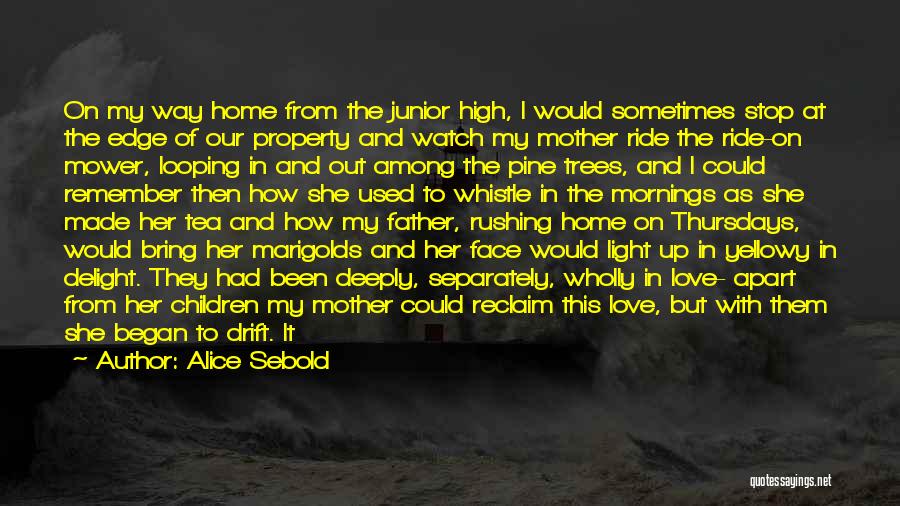 Light On Face Quotes By Alice Sebold