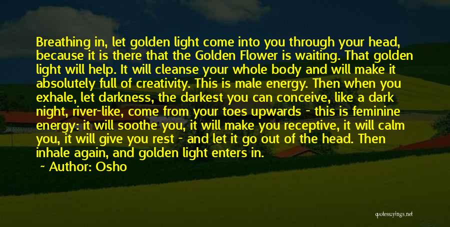 Light Out Of Darkness Quotes By Osho