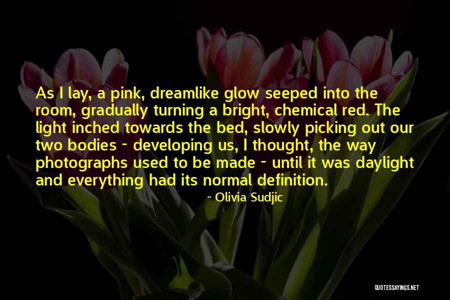Light Pink Quotes By Olivia Sudjic Light Pink Quotes By Olivia Sudjic