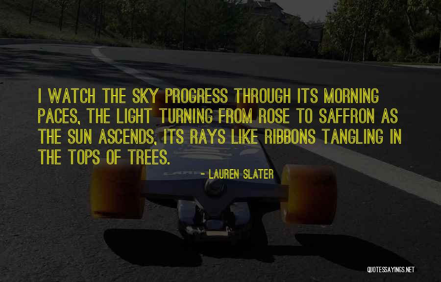 Light Rays Quotes By Lauren Slater Light Rays Quotes By Lauren Slater