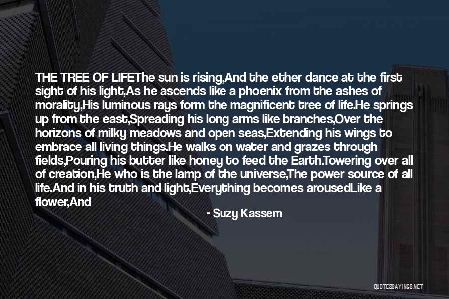 Light Rays Quotes By Suzy Kassem Light Rays Quotes By Suzy Kassem