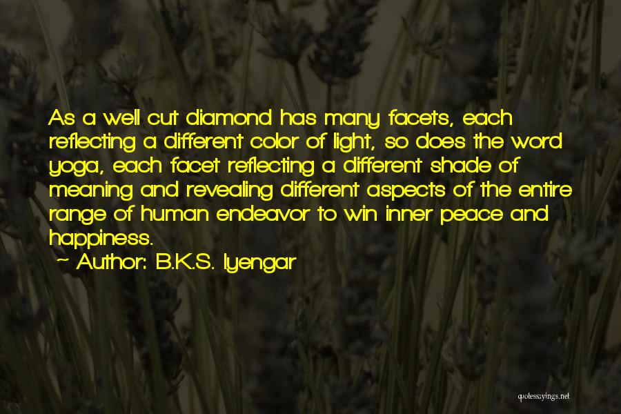 Light Reflecting Quotes By B.K.S. Iyengar