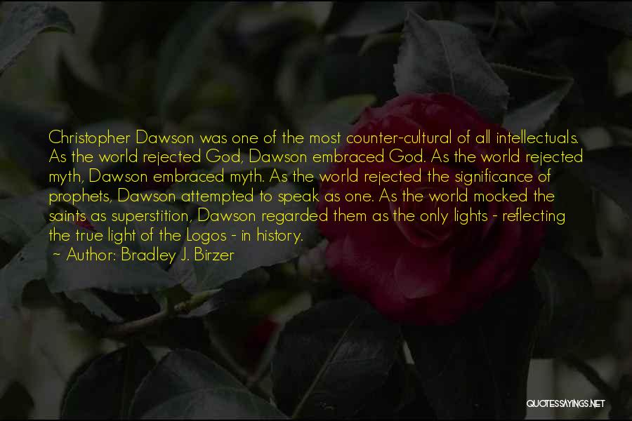 Light Reflecting Quotes By Bradley J. Birzer