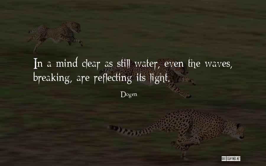 Light Reflecting Quotes By Dogen