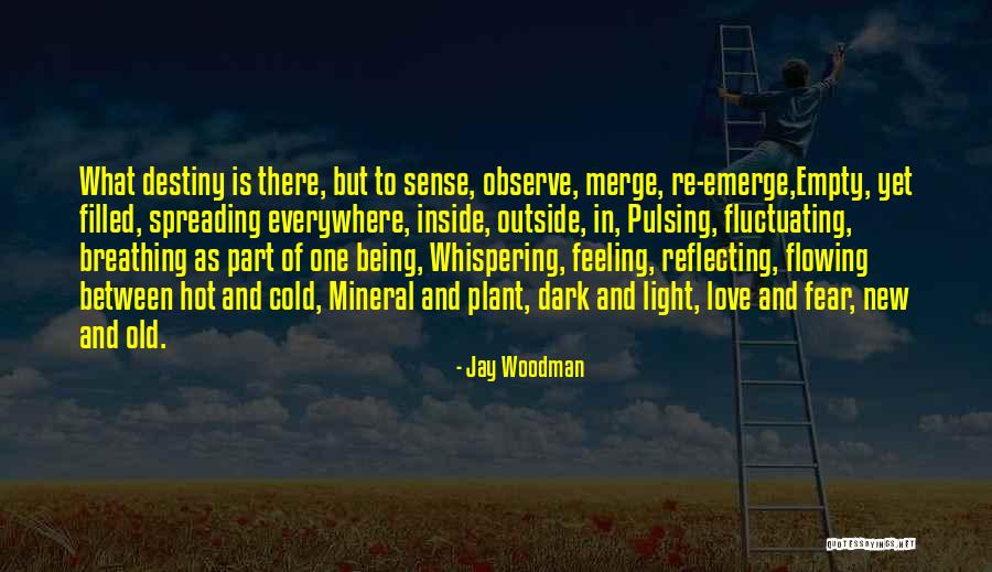 Light Reflecting Quotes By Jay Woodman