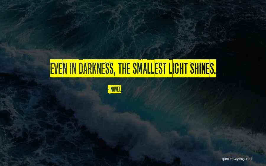 Light Shines In Darkness Quotes By Novel