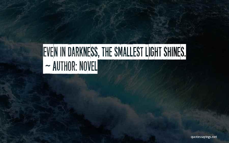 Light Shines In The Darkness Quotes By Novel