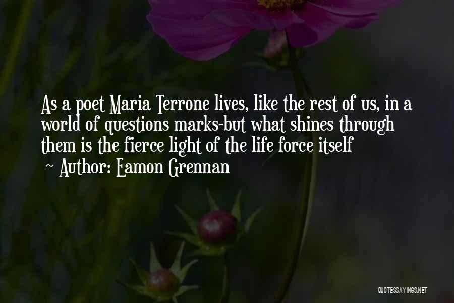 Light Shines Through Quotes By Eamon Grennan
