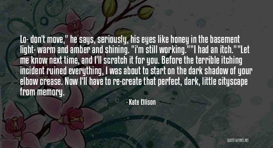 Light Shining On You Quotes By Kate Ellison Light Shining On You Quotes By Kate Ellison