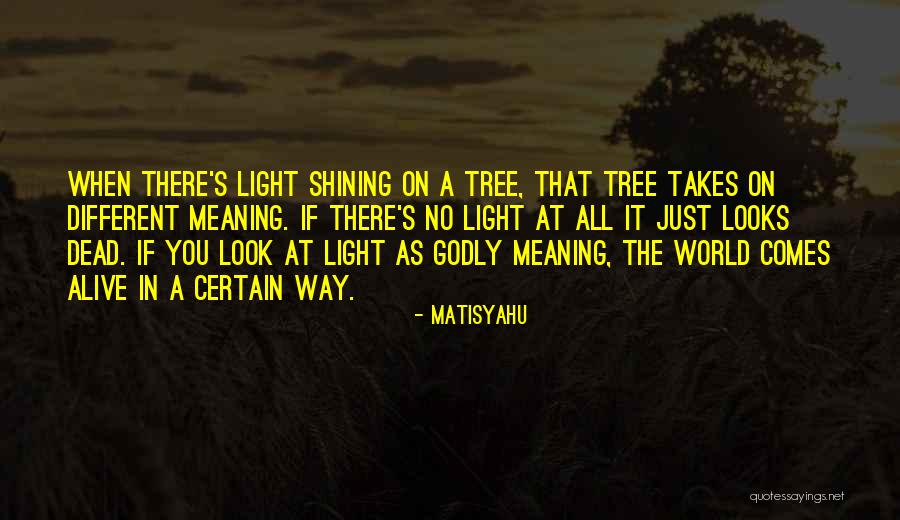 Light Shining On You Quotes By Matisyahu Light Shining On You Quotes By Matisyahu
