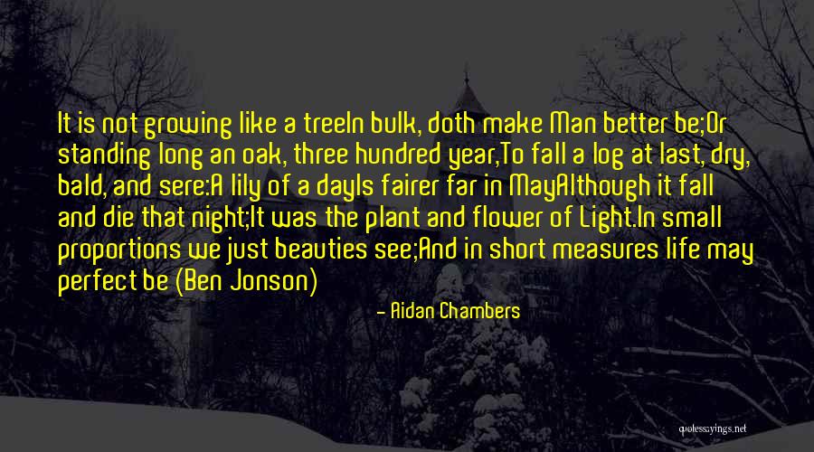 Light Short Quotes By Aidan Chambers Light Short Quotes By Aidan Chambers