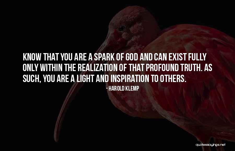 Light Spark Quotes By Harold Klemp