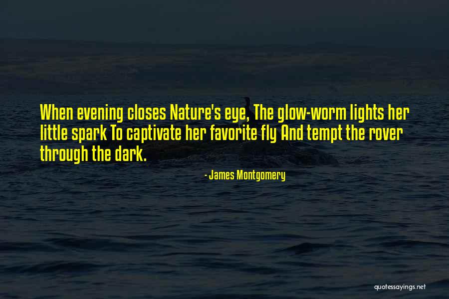 Light Spark Quotes By James Montgomery Light Spark Quotes By James Montgomery