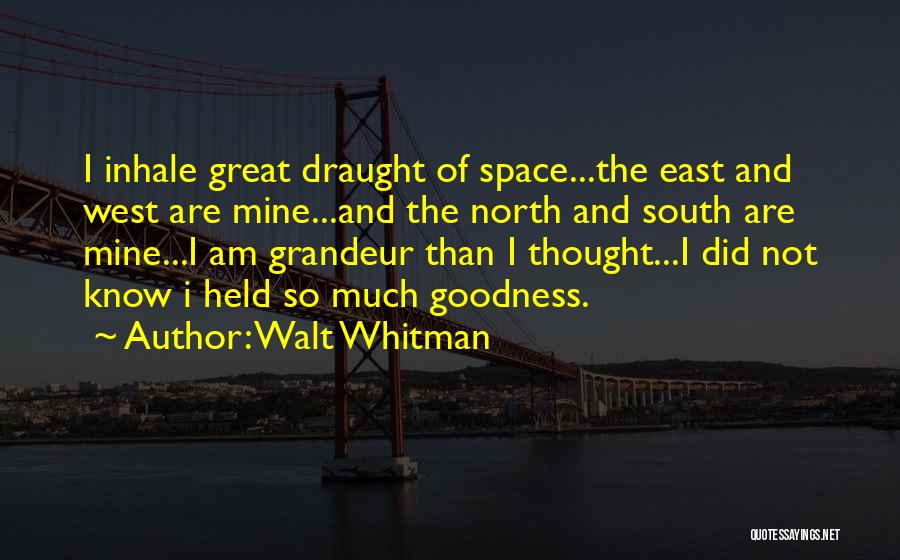 Light Switch Covers Quotes By Walt Whitman