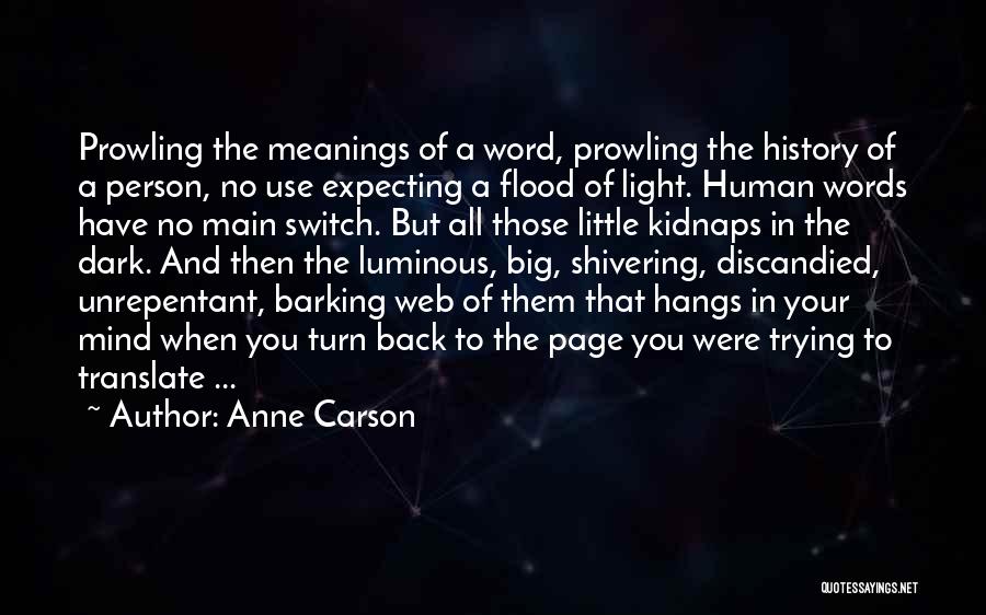 Light Switch Quotes By Anne Carson