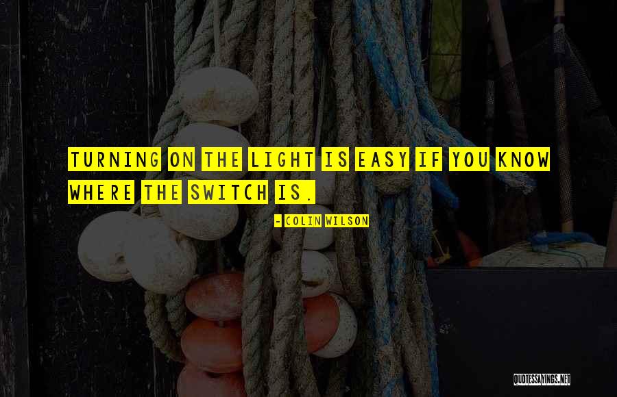 Light Switch Quotes By Colin Wilson Light Switch Quotes By Colin Wilson