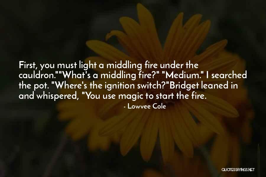 Light Switch Quotes By Lowvee Cole