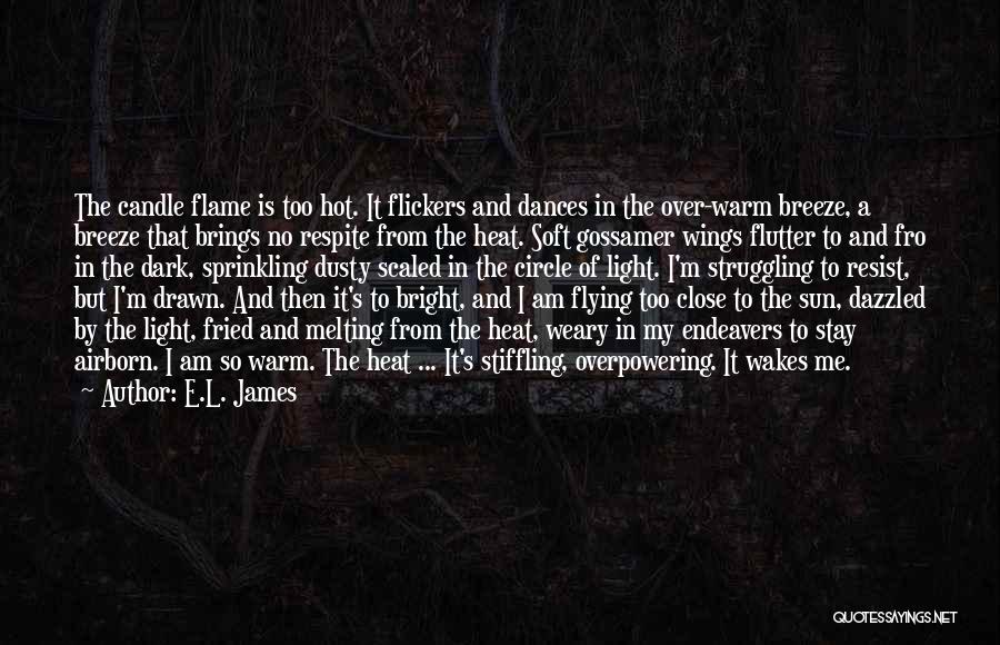 Light The Candle Quotes By E.L. James