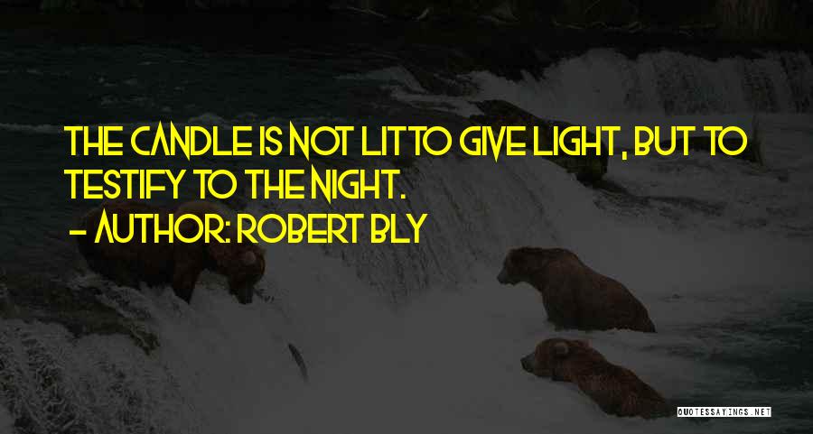 Light The Candle Quotes By Robert Bly