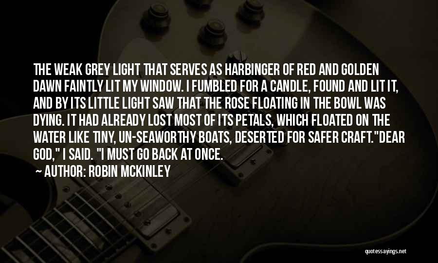 Light The Candle Quotes By Robin McKinley