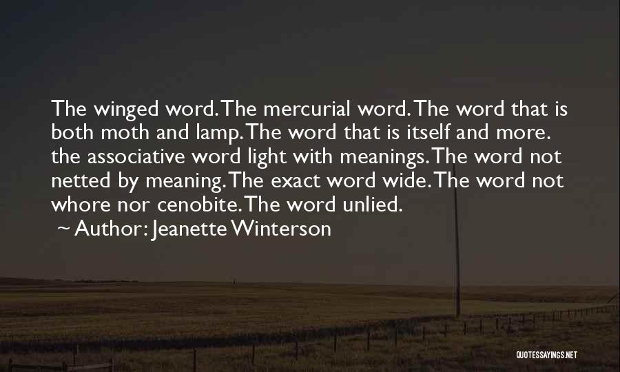 Light The Lamp Quotes By Jeanette Winterson