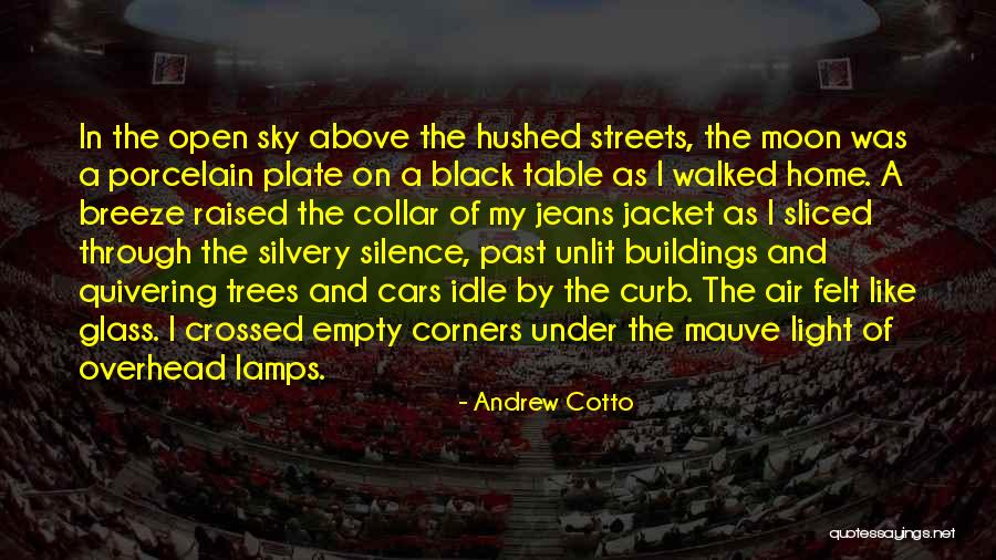 Light Through Glass Quotes By Andrew Cotto Light Through Glass Quotes By Andrew Cotto