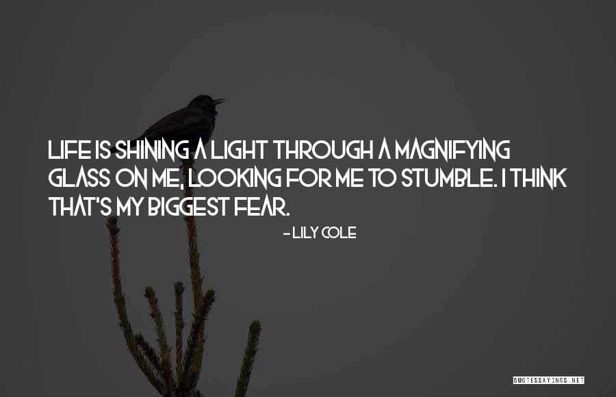 Light Through Glass Quotes By Lily Cole Light Through Glass Quotes By Lily Cole