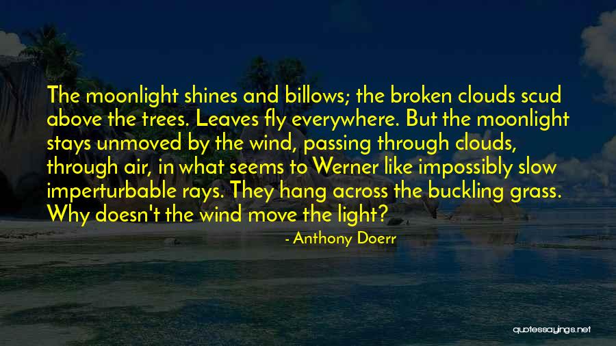 Light Through Leaves Quotes By Anthony Doerr