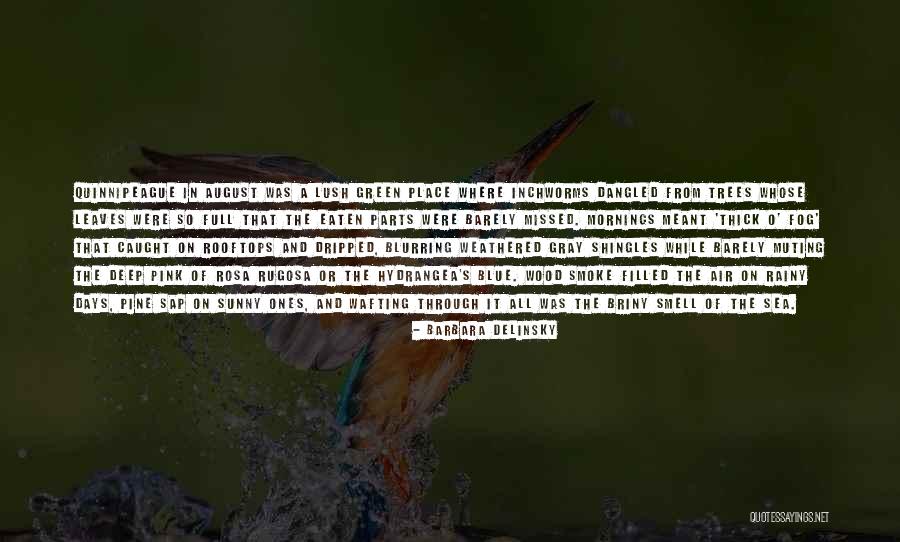 Light Through Leaves Quotes By Barbara Delinsky Light Through Leaves Quotes By Barbara Delinsky