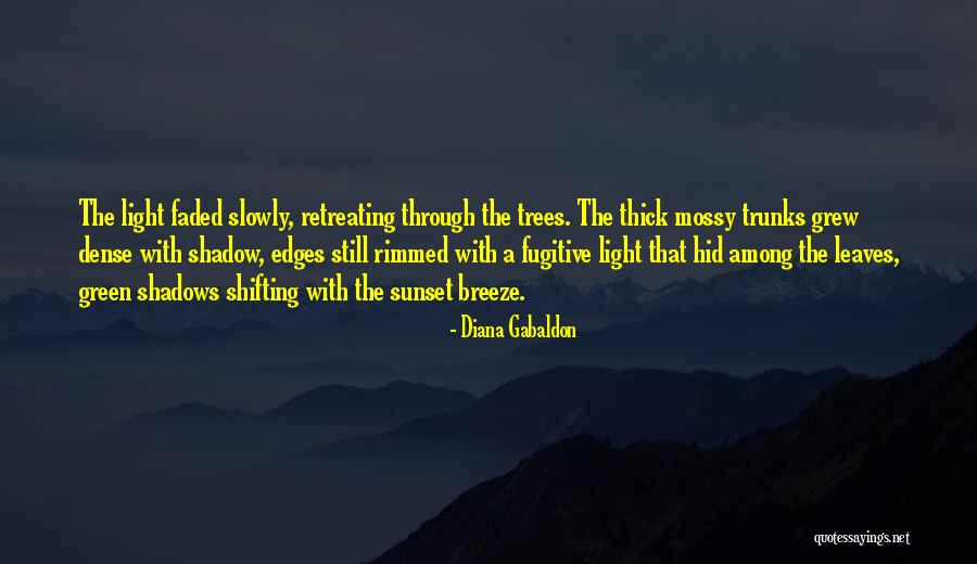 Light Through Leaves Quotes By Diana Gabaldon Light Through Leaves Quotes By Diana Gabaldon