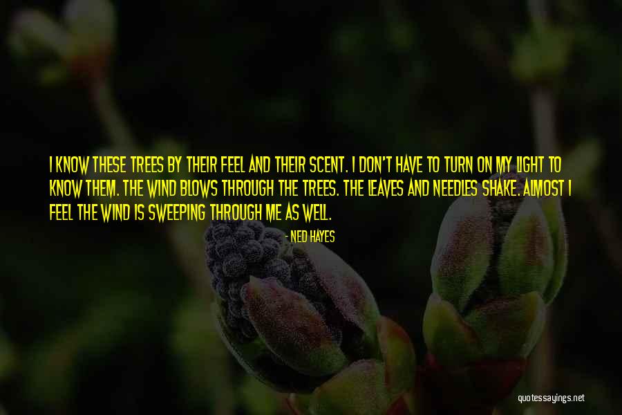 Light Through Leaves Quotes By Ned Hayes Light Through Leaves Quotes By Ned Hayes