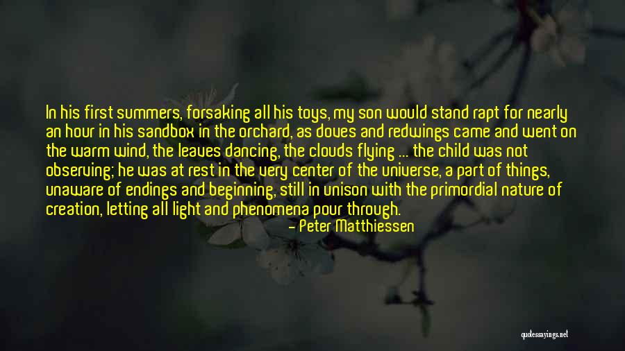 Light Through Leaves Quotes By Peter Matthiessen Light Through Leaves Quotes By Peter Matthiessen