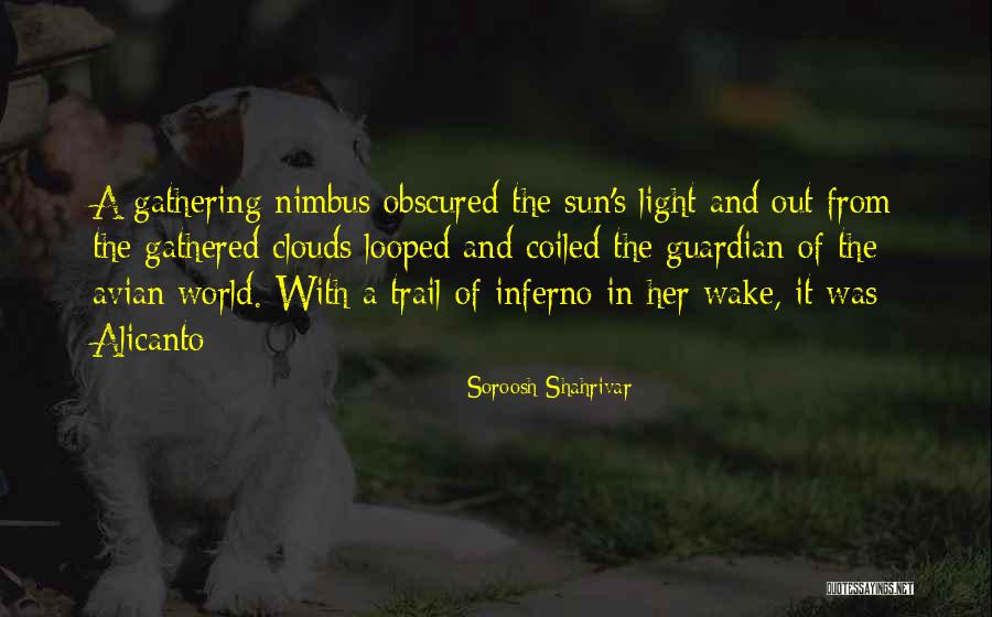 Light Trail Quotes By Soroosh Shahrivar Light Trail Quotes By Soroosh Shahrivar