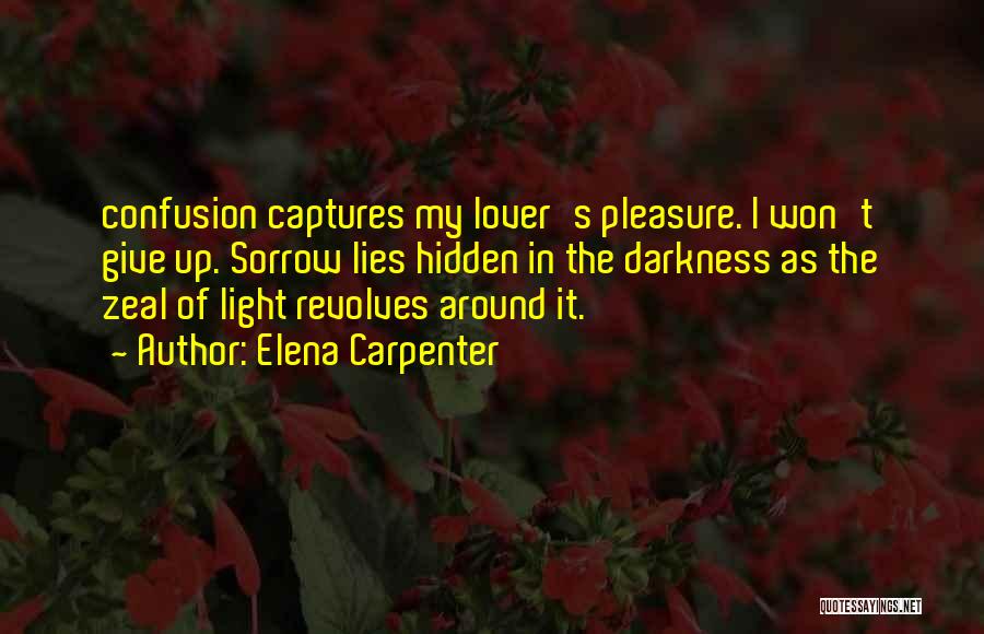 Light Up Darkness Quotes By Elena Carpenter