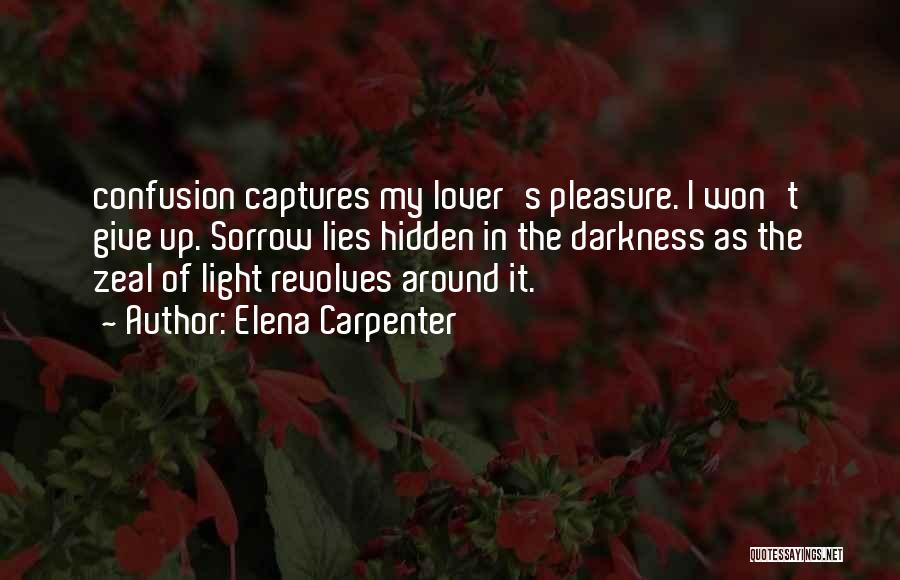 Light Up The Darkness Quotes By Elena Carpenter