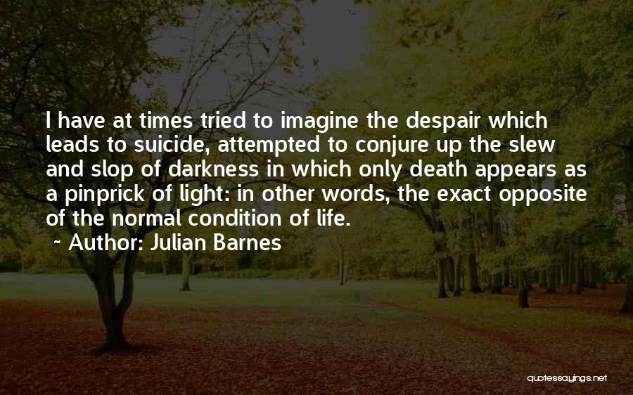 Light Up The Darkness Quotes By Julian Barnes