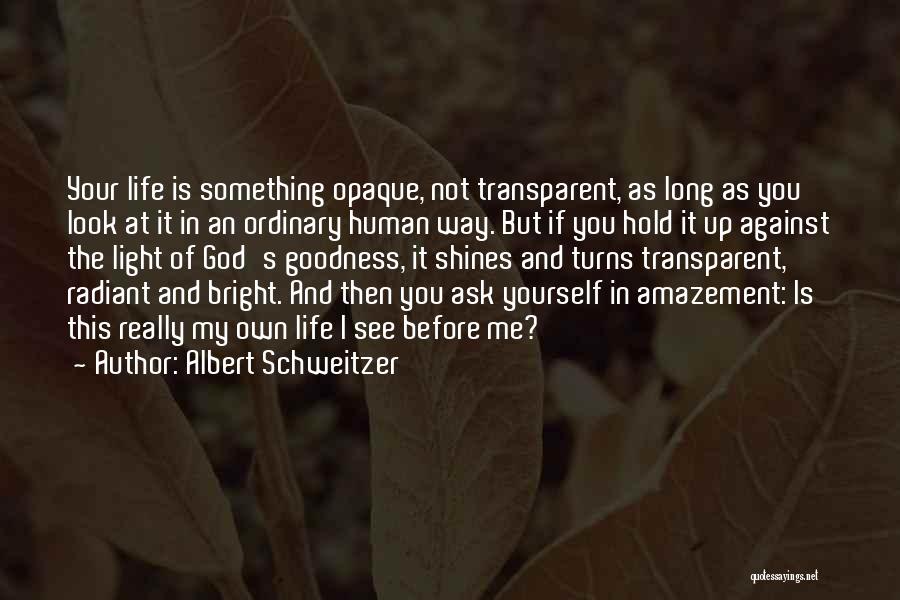 Light Up Your Life Quotes By Albert Schweitzer