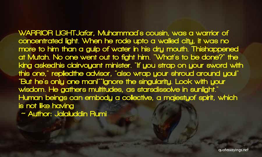 Light Water Quotes By Jalaluddin Rumi