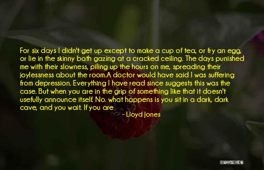 Light Where Ceiling Quotes By Lloyd Jones Light Where Ceiling Quotes By Lloyd Jones
