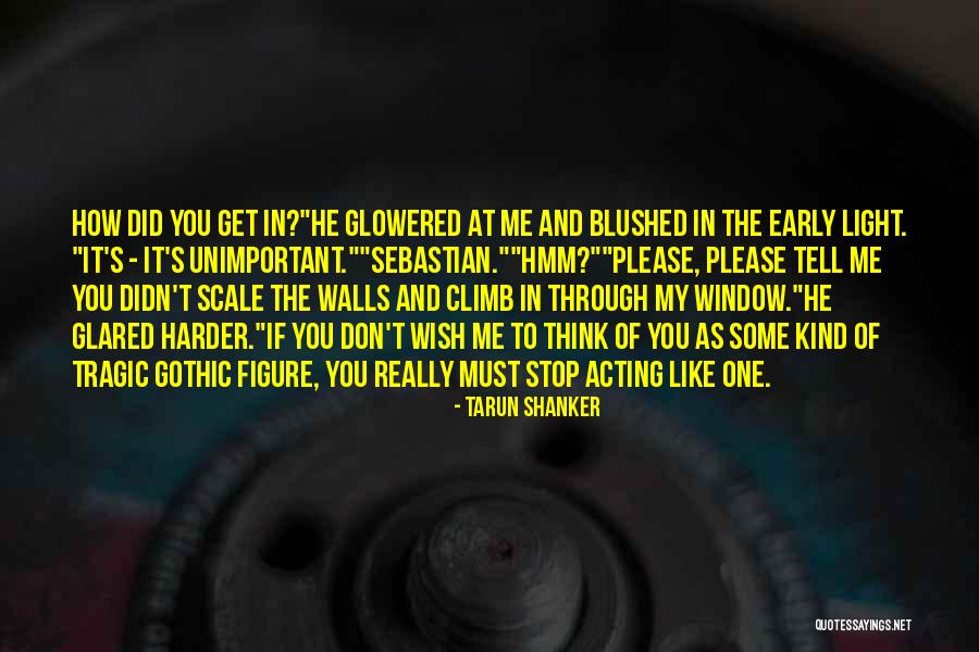 Light Window Quotes By Tarun Shanker Light Window Quotes By Tarun Shanker