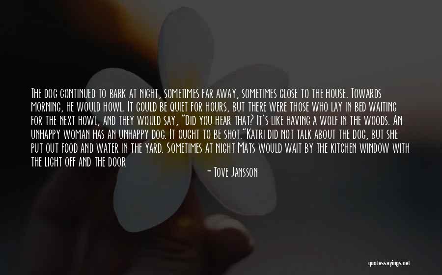 Light Window Quotes By Tove Jansson Light Window Quotes By Tove Jansson