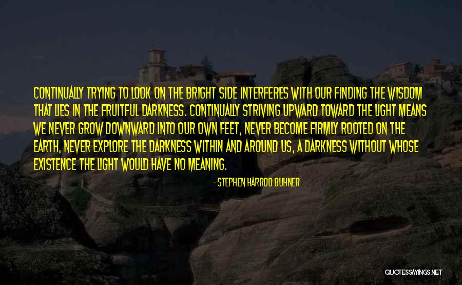 Light Within Us Quotes By Stephen Harrod Buhner Light Within Us Quotes By Stephen Harrod Buhner