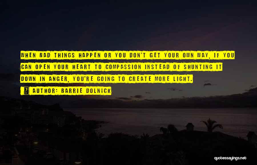 Light Your Way Quotes By Barrie Dolnick