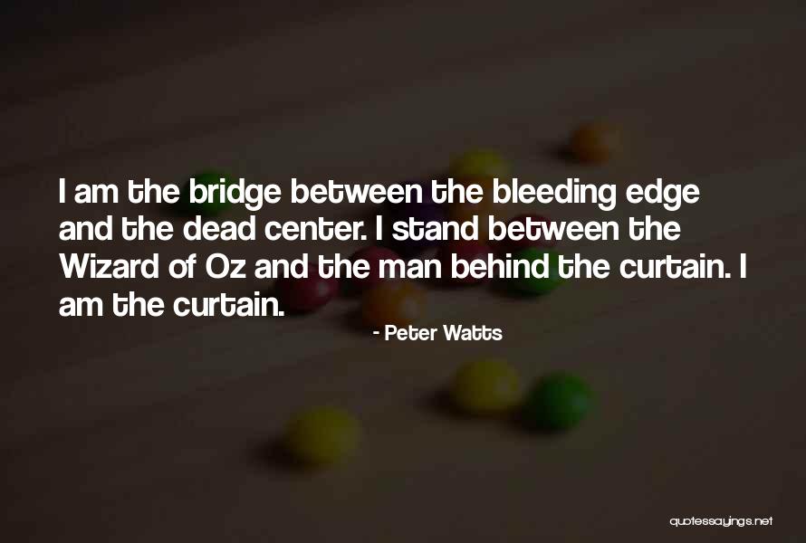 Lightbound Game Quotes By Peter Watts