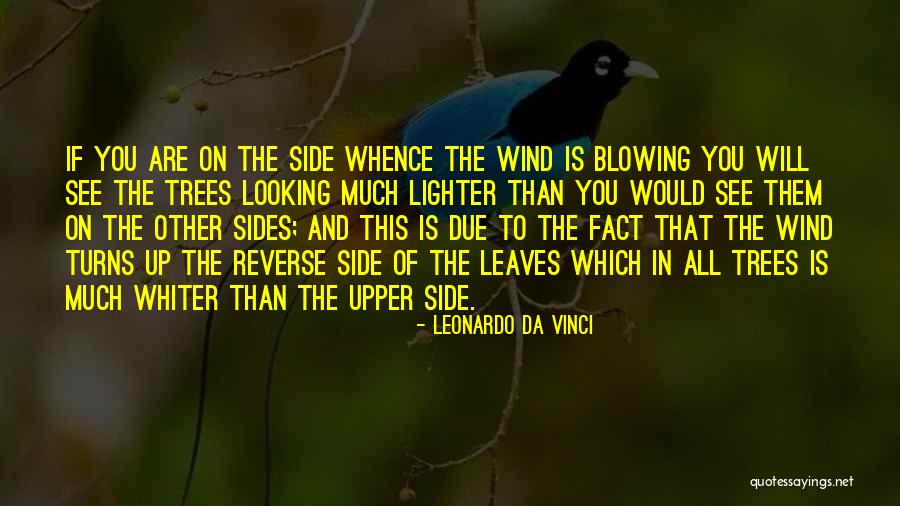 Lighter Quotes By Leonardo Da Vinci