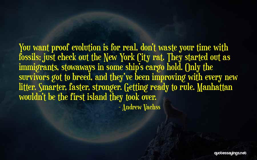 Lighteyes Quotes By Andrew Vachss Lighteyes Quotes By Andrew Vachss