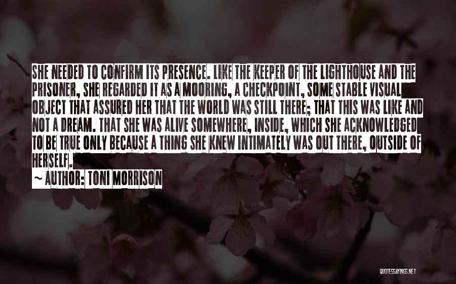 Lighthouse Keeper Quotes By Toni Morrison