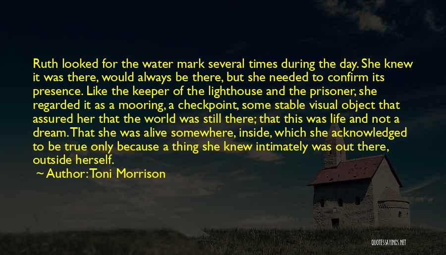 Lighthouse Quotes By Toni Morrison
