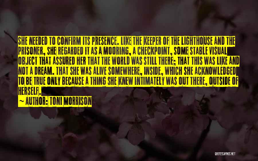 Lighthouse Quotes By Toni Morrison